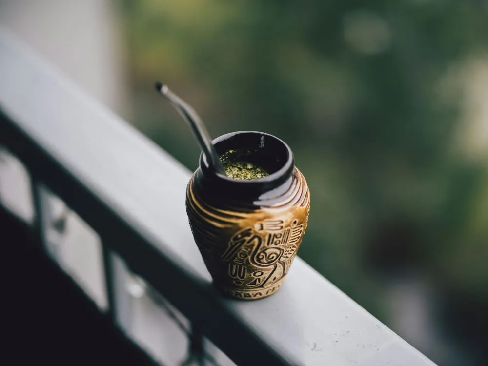 Yerba mate